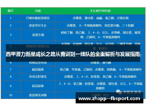 西甲潜力新星成长之路从青训到一线队的全面解析与发展指南