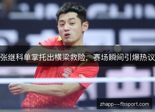 张继科单掌托出横梁救险,赛场瞬间引爆热议 张继科单掌托出横梁救险,赛场瞬间引爆热议